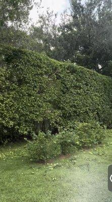 Jose Garcia Landscaping