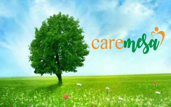 CareMesa Inc.