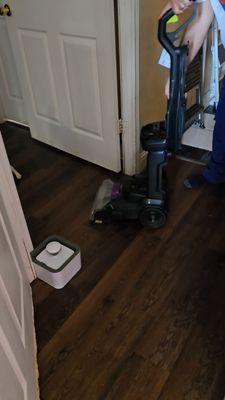 The Corner Vet - Houston Heights