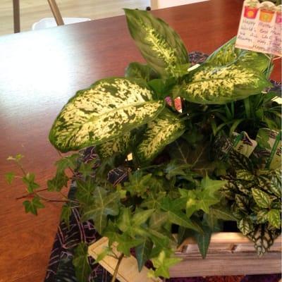 They enclosed a hand written note, way better than the computer generated style! And all our names were spelled correctly :)