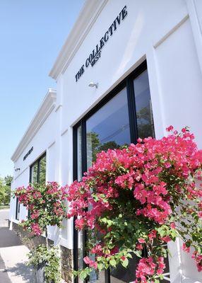 New Location! Open daily at 940 Post Road E. part of Christian Siriano's, The Collective West