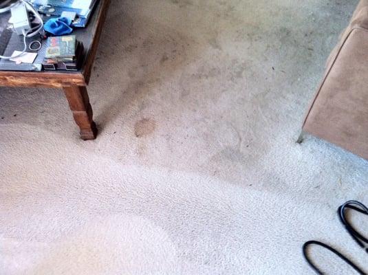 Mike's Carpet Cleaning