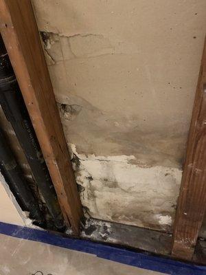 Damaged part of the wall carefully removed