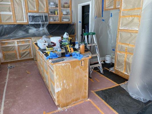 Vizcarra Visions Remodeling