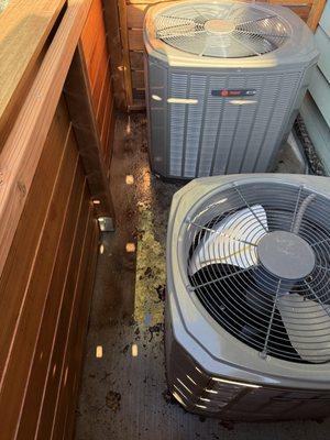 Standing water 24/7 during cooler months - condensation thrown off by heat pumps, with no plan for drainage