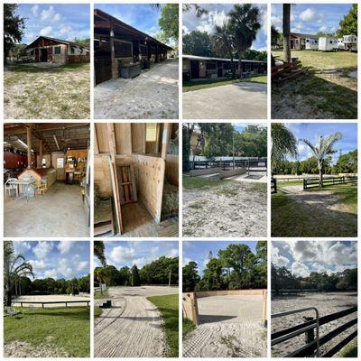 Willowood Stables