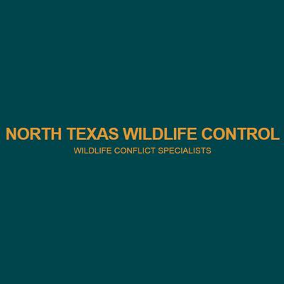 North Texas Wildlife Control
