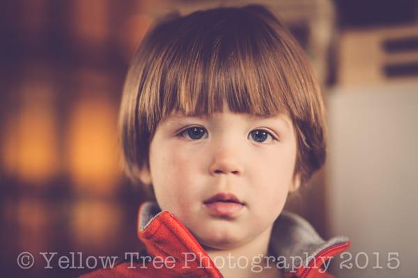 Yellow Tree Photography