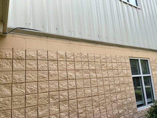 Lion Home Maintenance & Handyman Services