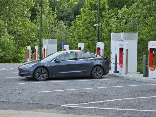 Tesla Superchargers in their lot