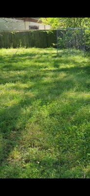 Amelias Lawn Manicures