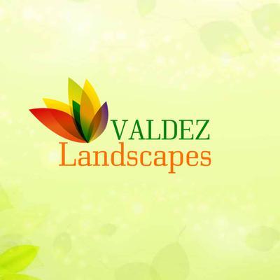 Valdez Landscapes