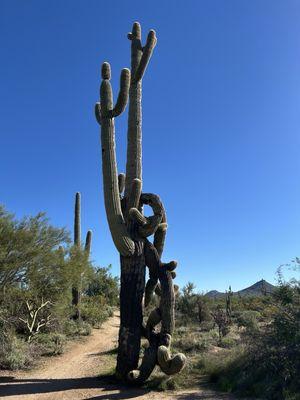 Arizona Adventure Guides
