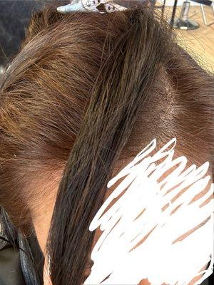 Color of roots compared to the rest of my hair