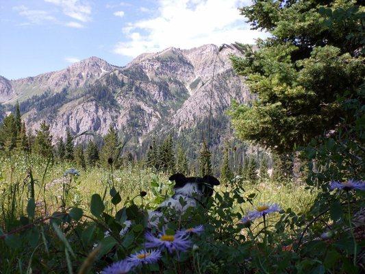 Even Sacket takes on the views