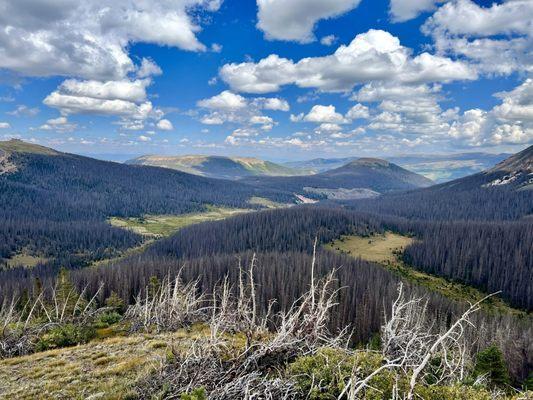 Wheeler Geologic Area