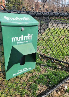 Alice Street Dog Run