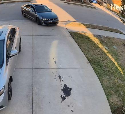 Onion Creek Volkswagen