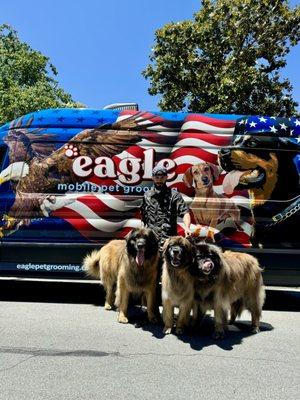 Eagle Mobile Pet Grooming