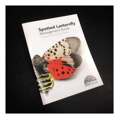 Small saddle stitched booklet printed at Anderberg Print in Minneapolis