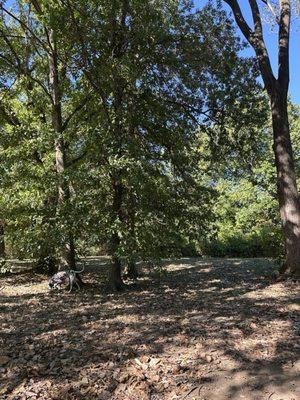 Indian Hills Dog Park