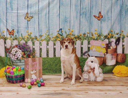 Easter photo