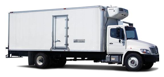 Elite Express Delivery