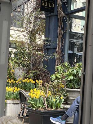 Roman and Williams Guild