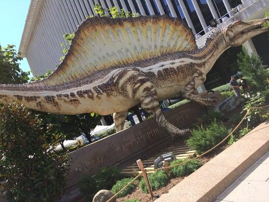 Nice exhibit outside!