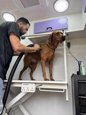 Pet’s Friend Mobile Grooming