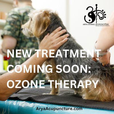 We will be offering Pet Ozone Therapy!