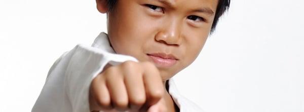 Kids' MMA in Waukegan