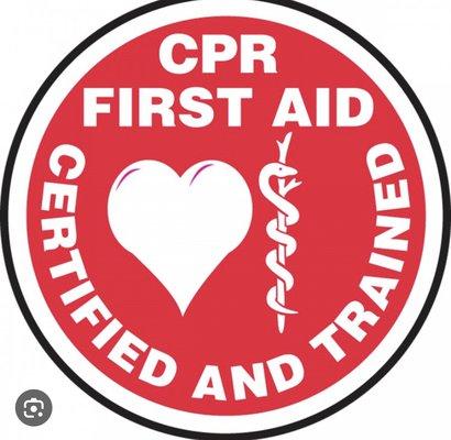 Hailey’s Cpr First Aid