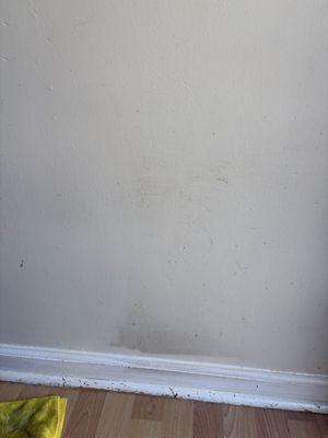 Integrity Cleaning Services