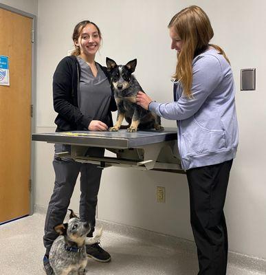 Aurora Veterinary Clinic