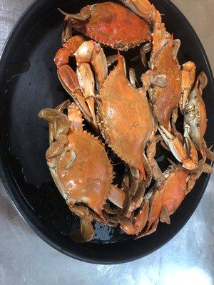 Blue crabs