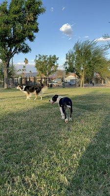 Hershey and a friend