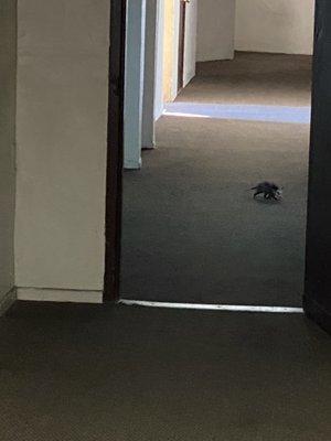 Emerald Pointe Apartments