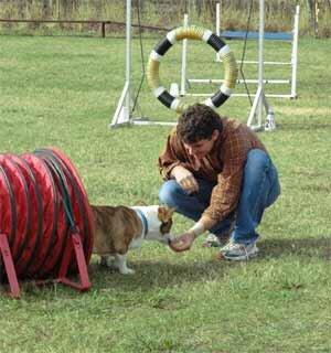 Bellecreek Dog Training Center