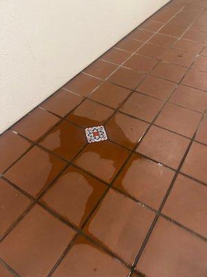 Somebody can slip no signs just wet floor.