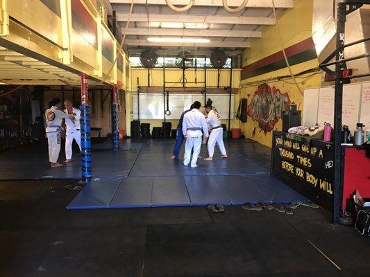 Longman Jiu -Jitsu Poipu