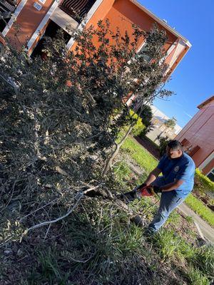 All Clear Junk Removal