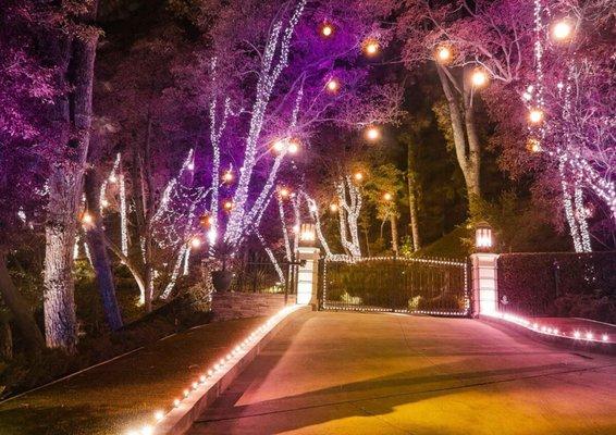 LED Landscape Lighting by J Bell