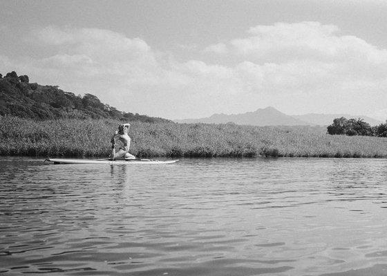 Pacific Northwest Massage Therapy and Bodywork