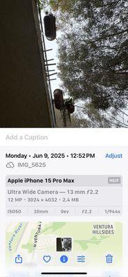 The Management Trust