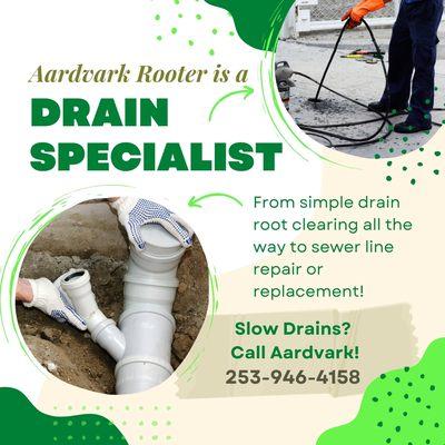 Aardvark Rooter