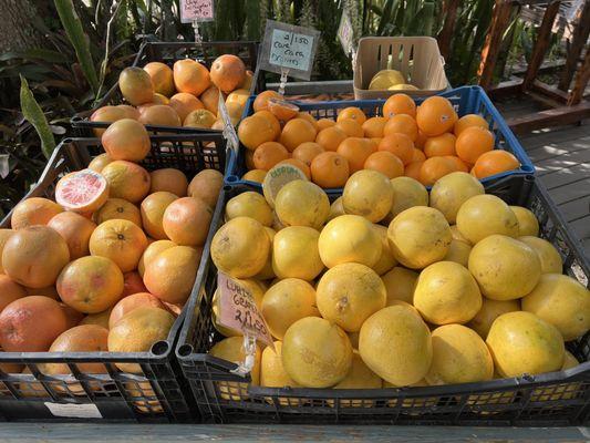 Kroegel Homestead Produce