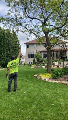 Dane County Tree Company