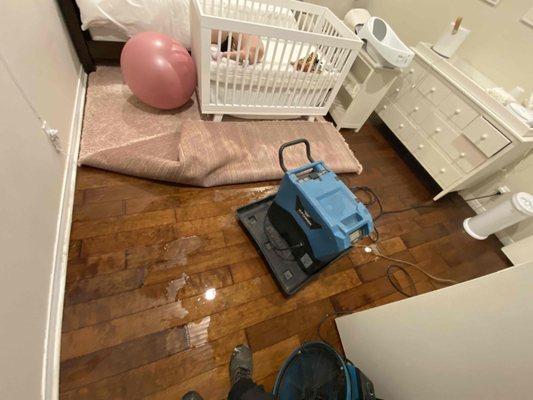 Floodout Restoration