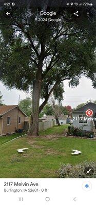 Boughton's Tree Service